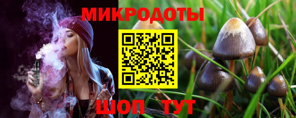 Кострома  Галлюциногенные грибы Magic Shrooms  Галлюциногенные грибы Psilocybe  Вход с VPN 